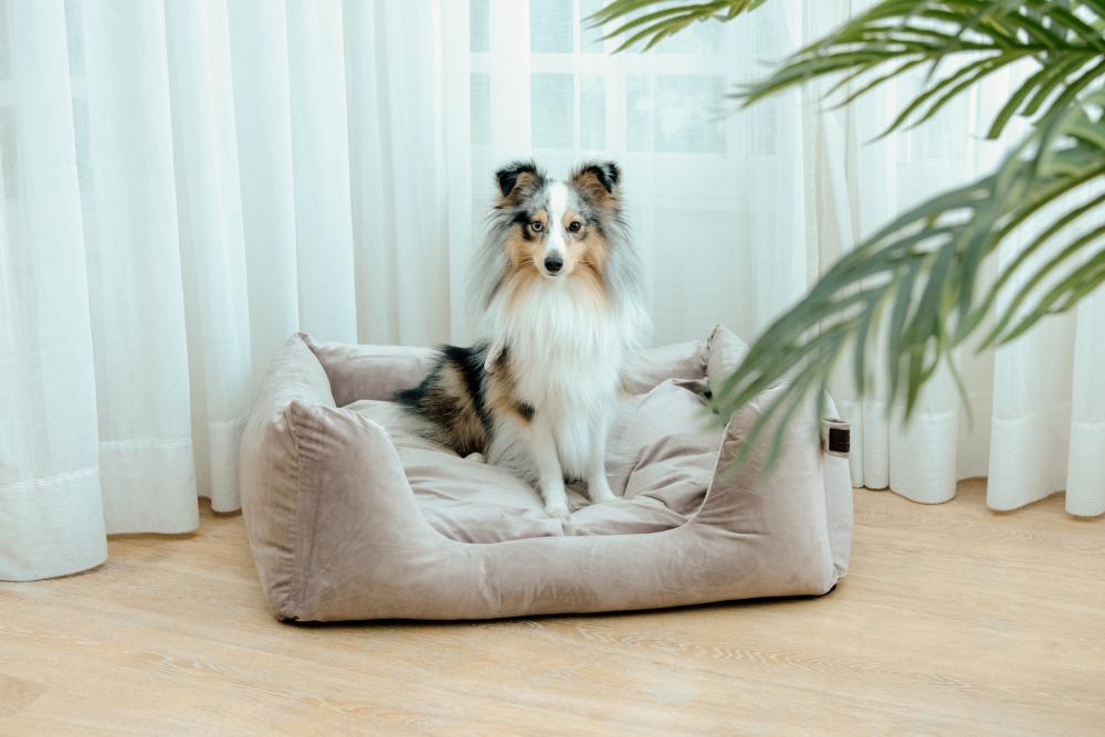 KENTUCKY® DOGWEAR Hundebett aus Samt, beige