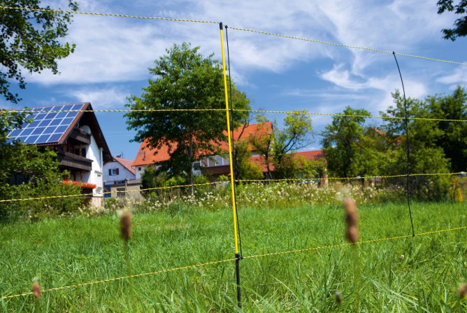 AKO EasyNet Schafnetz mit Bodenabstand