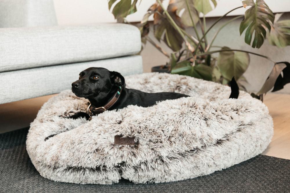 KENTUCKY® DOGWEAR Hundebett Komfort Donut, braun