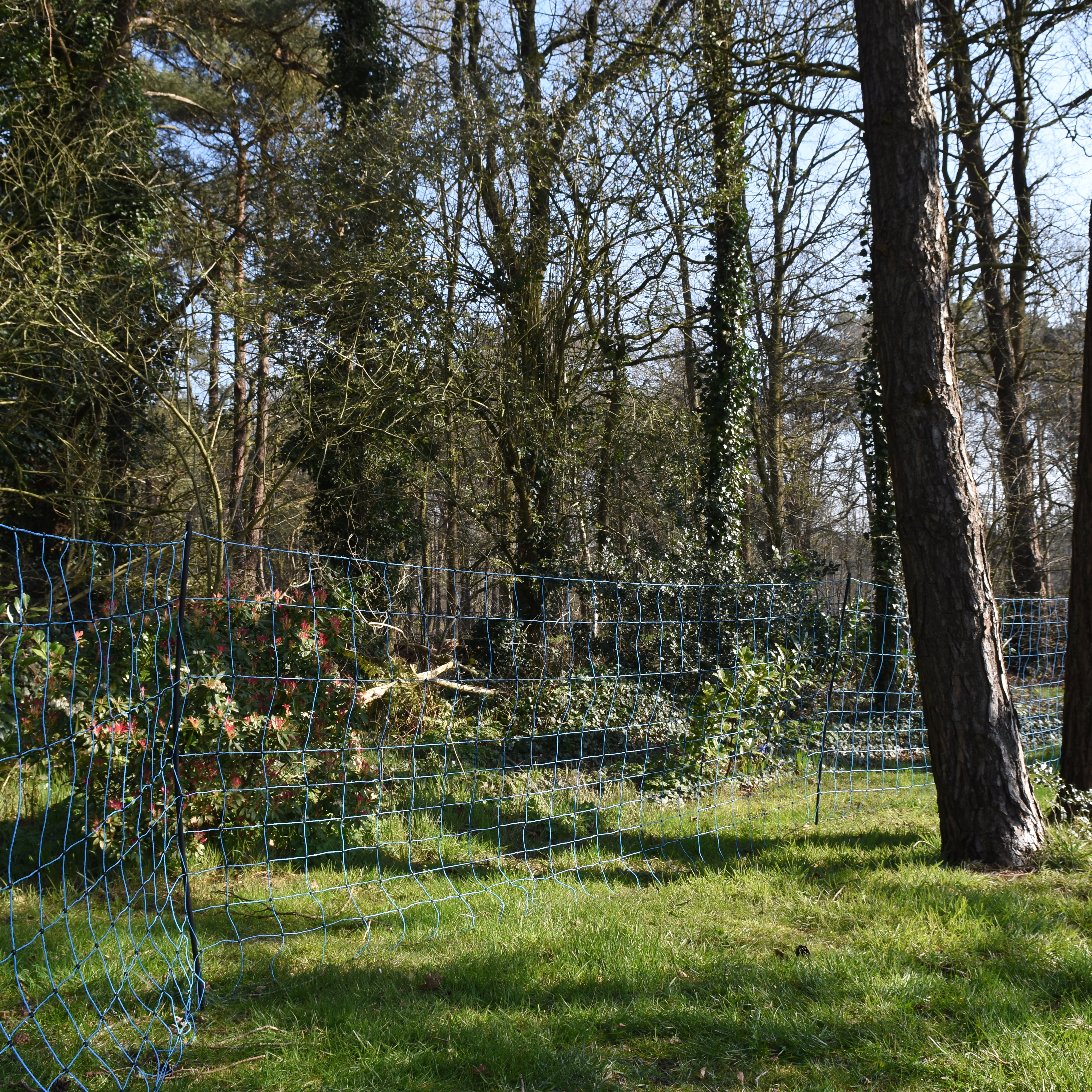 GALLAGHER Wolfsnetz, blau, 120 cm, 50 m