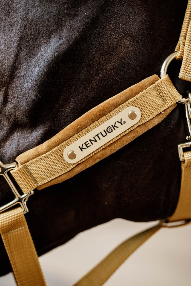 KENTUCKY® HORSEWEAR Velvet Halfter, senfgelb