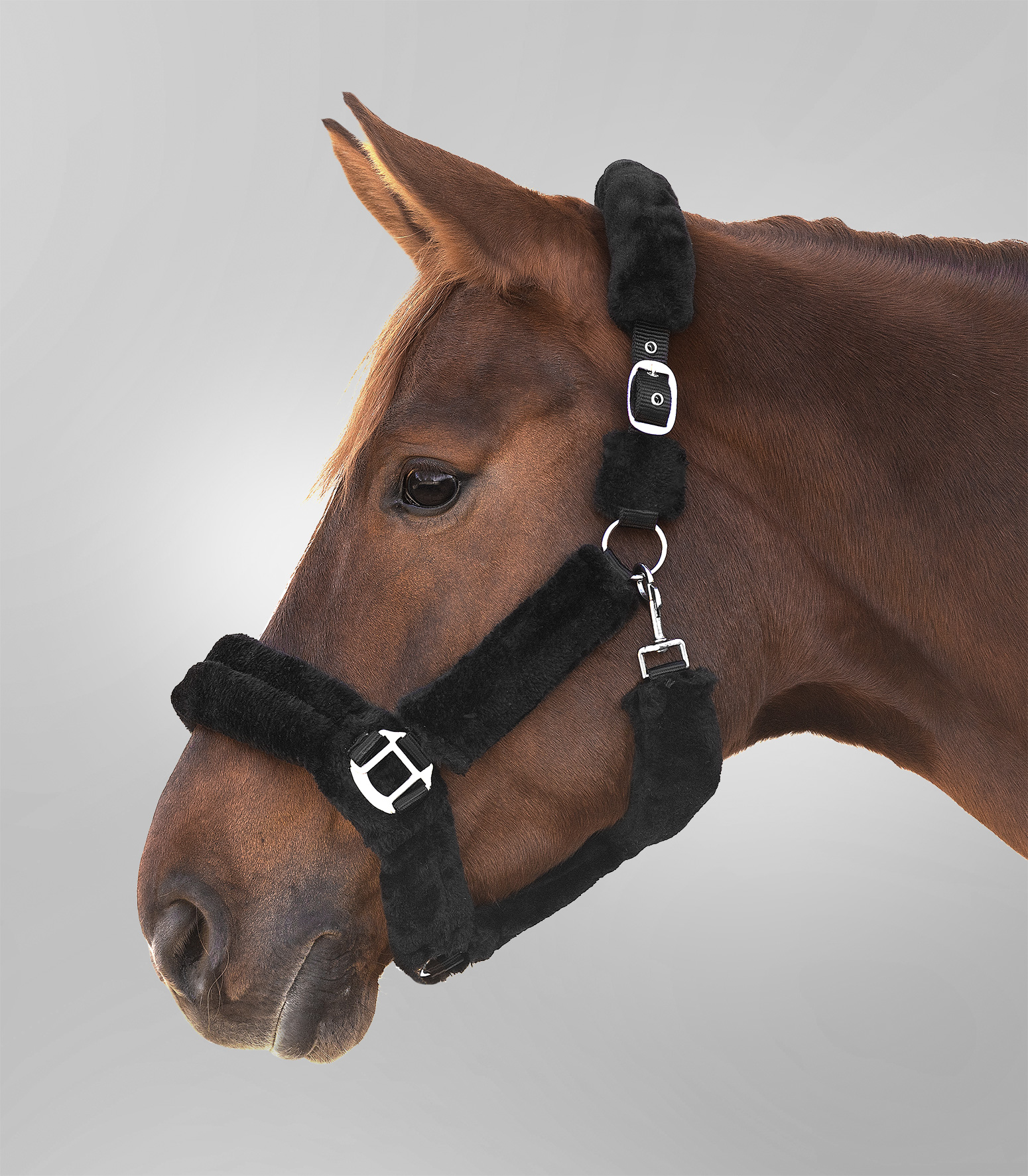 WALDHAUSEN Halfter Cozy