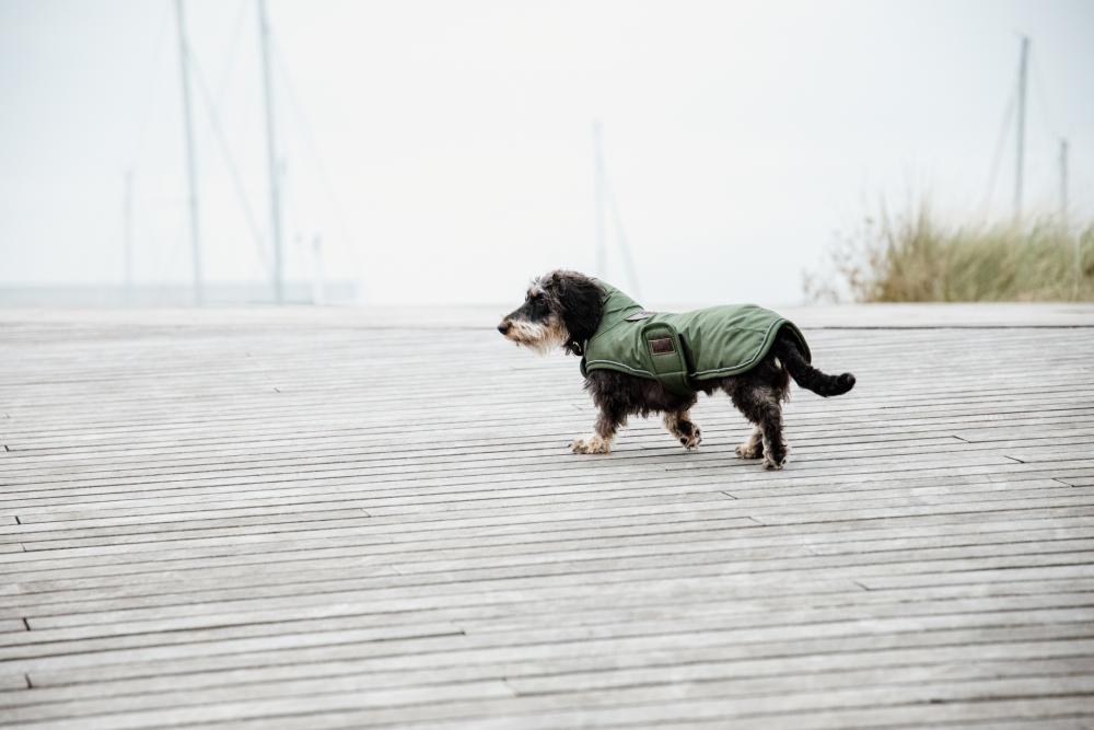 KENTUCKY® DOGWEAR Hundemantel wasserdicht 300 g, olivgrün