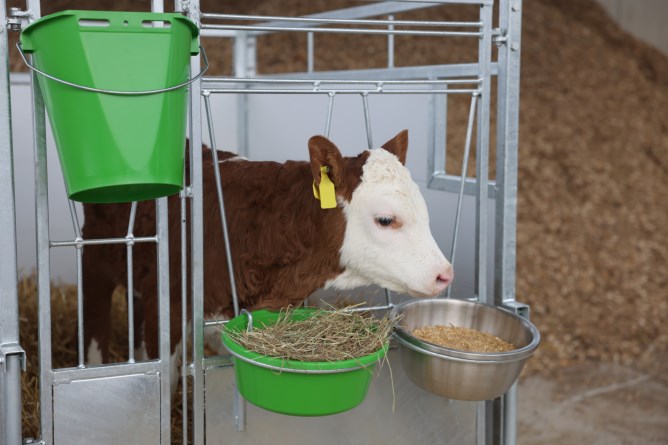 KERBL Kälberbox Premium mit schwenkbarem Boden