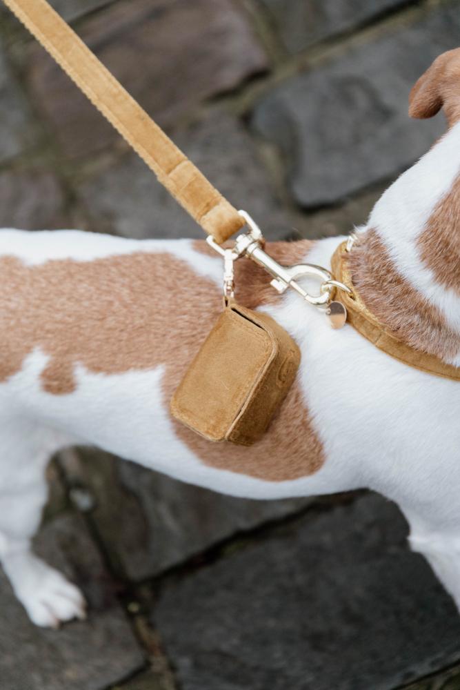 KENTUCKY® DOGWEAR Hundekotbeutelhalter Square, senfgelb
