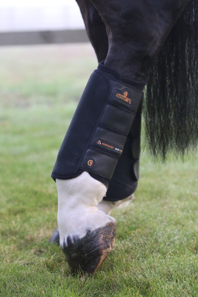 KENTUCKY® HORSEWEAR Geländegamaschen Air Tech hinten, schwarz 