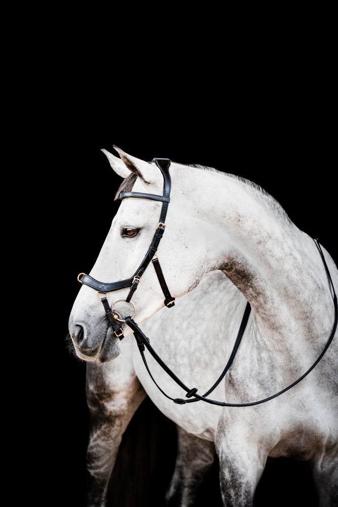HORSEWARE® Micklem® 2 Multi Bridle, black