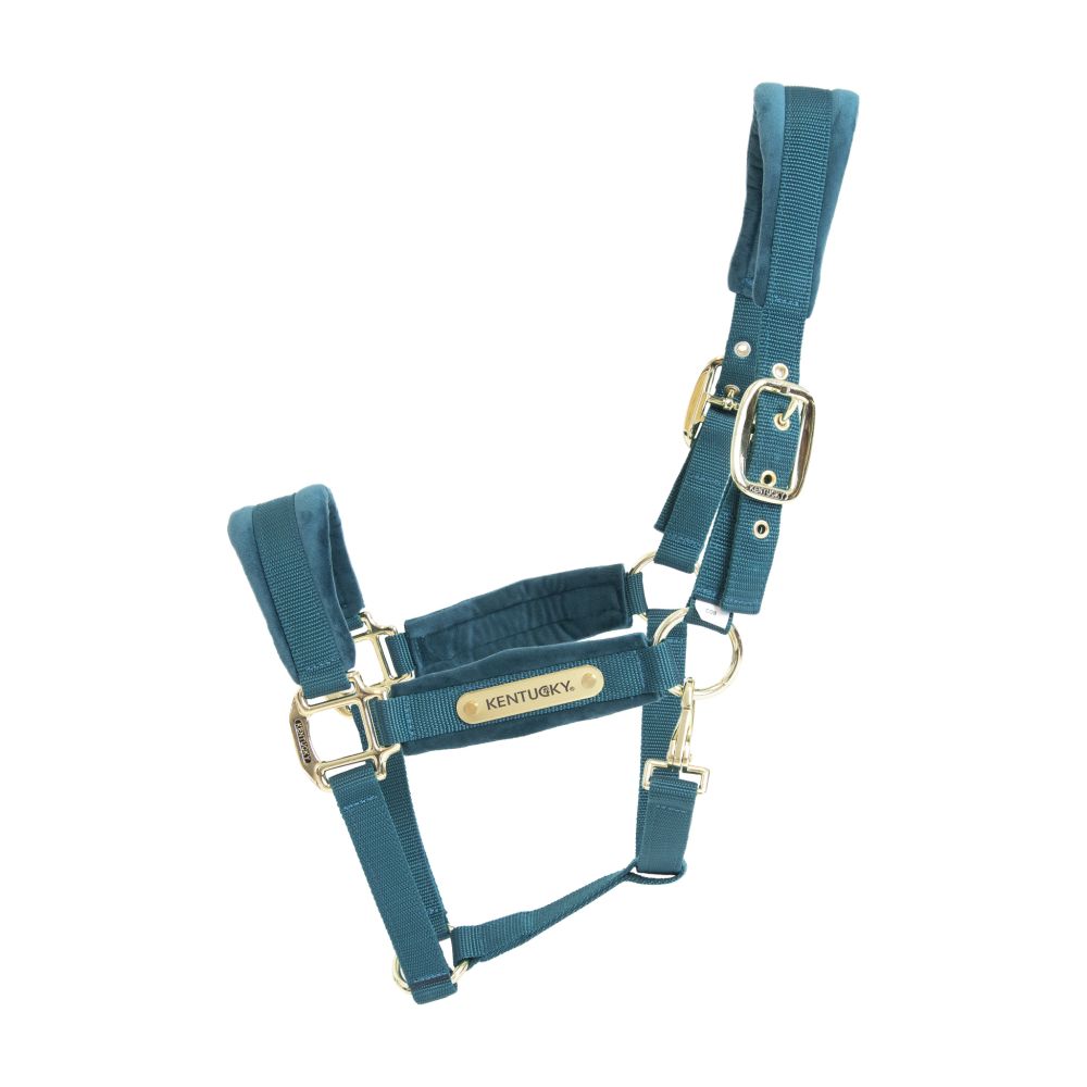KENTUCKY® HORSEWEAR Velvet Halfter, smaragdgrün