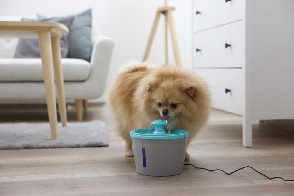 KERBL Trinkbrunnen für Katzen und kleine Hunde