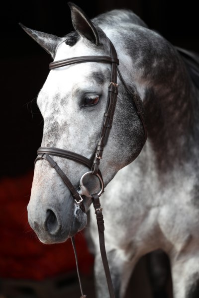 KERBL Trensenzaum Standard Leder, Shetty