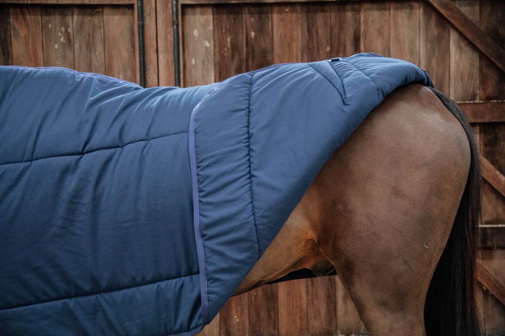KENTUCKY® HORSEWEAR Unterdecke Classic 100 g