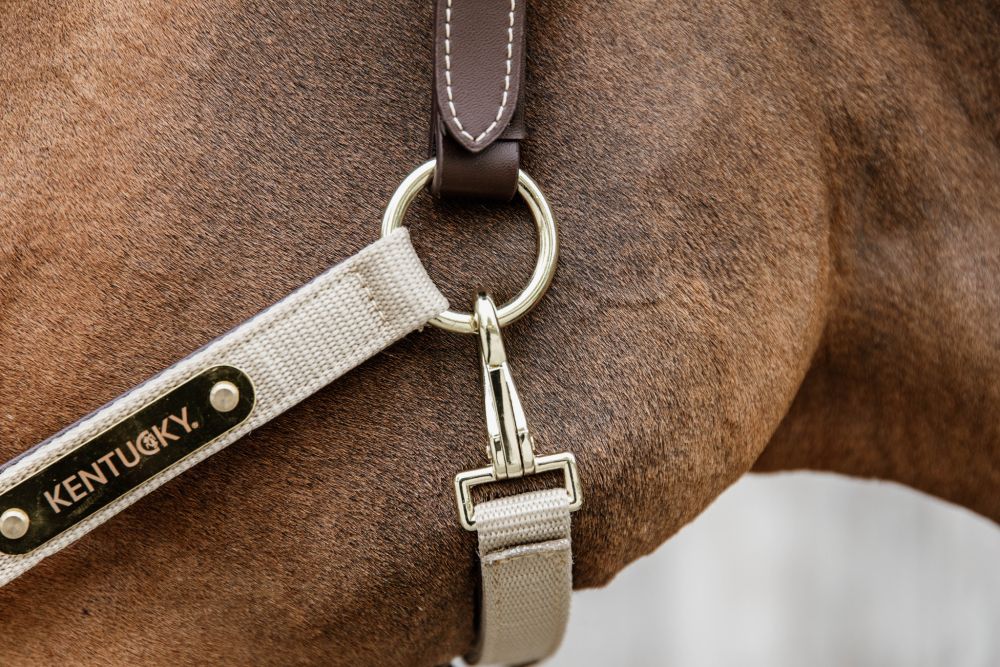 KENTUCKY® HORSEWEAR Anatomic Nylon Halfter, beige