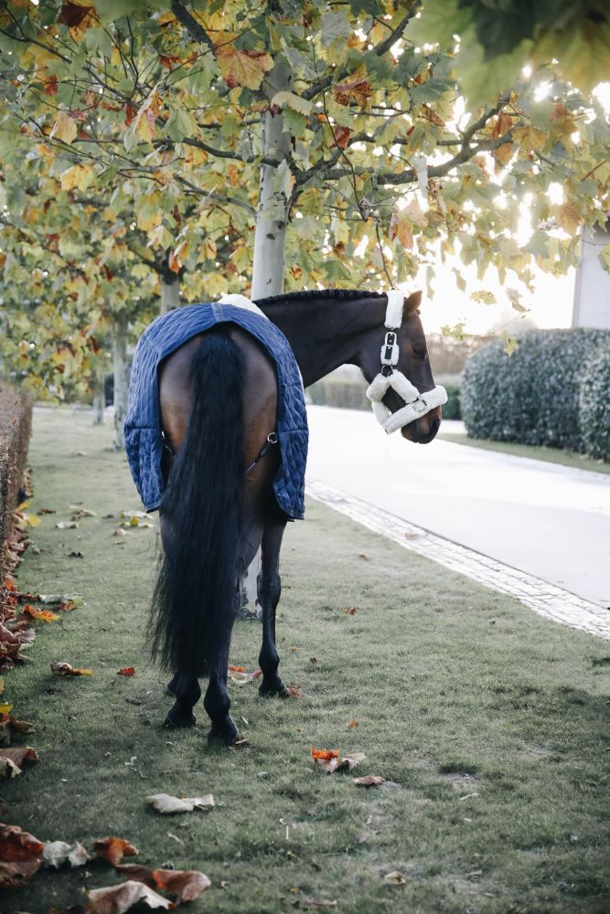 KENTUCKY® HORSEWEAR Stalldecke 200 g