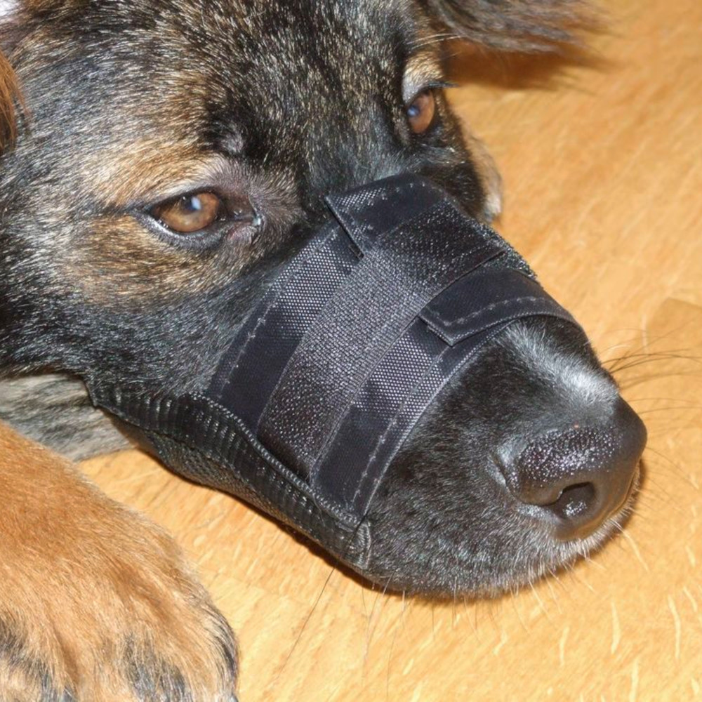 Maulkorb Nylon