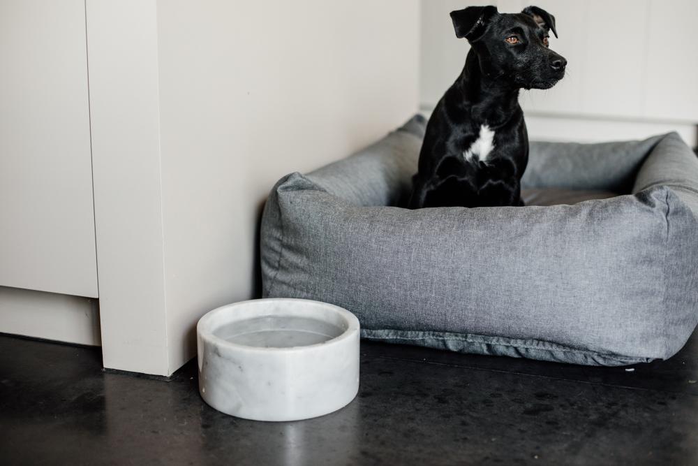 KENTUCKY® DOGWEAR Hundenapf aus Marmor, weiß