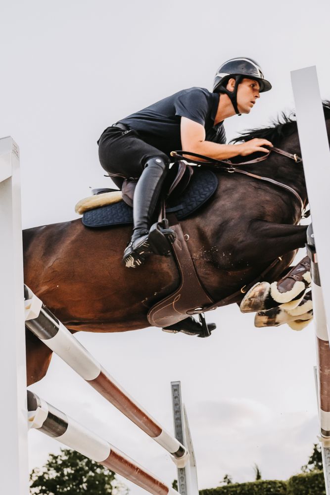 KENTUCKY® HORSEWEAR Stollengurt, braun