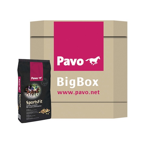 PAVO SportsFit BigBox