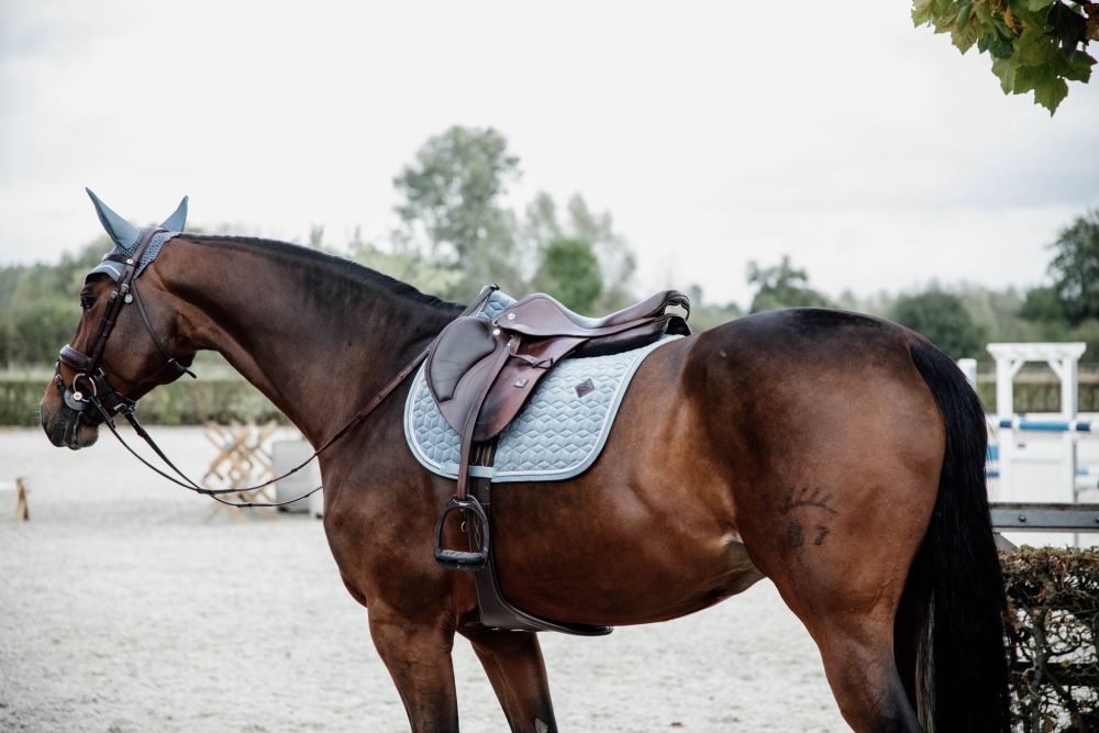 KENTUCKY® HORSEWEAR Schabracke Velvet Springen, hellblau
