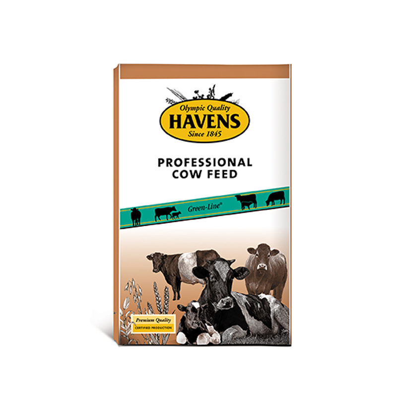 HAVENS COW Junior+ 