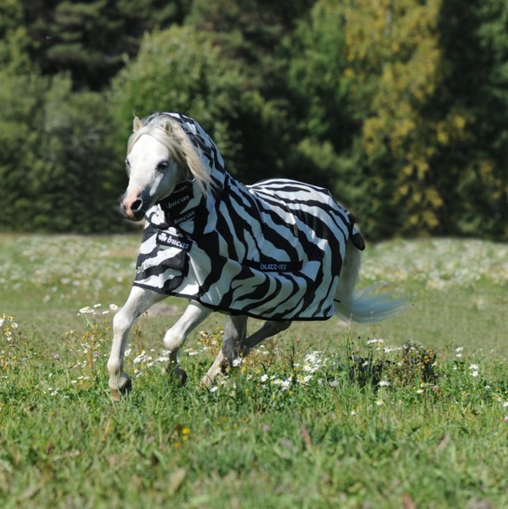 BUCAS Buzz-Off Fliegendecke Zebra Full-Neck
