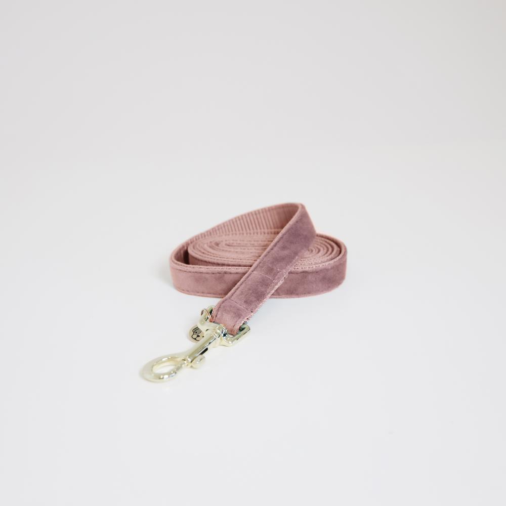 KENTUCKY® DOGWEAR Hundeleine Samt 120 cm, altrosa