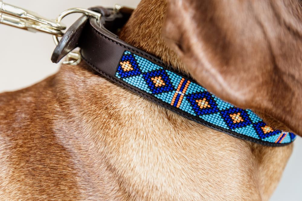 KENTUCKY® DOGWEAR Hundehalsband Pearls, blau
