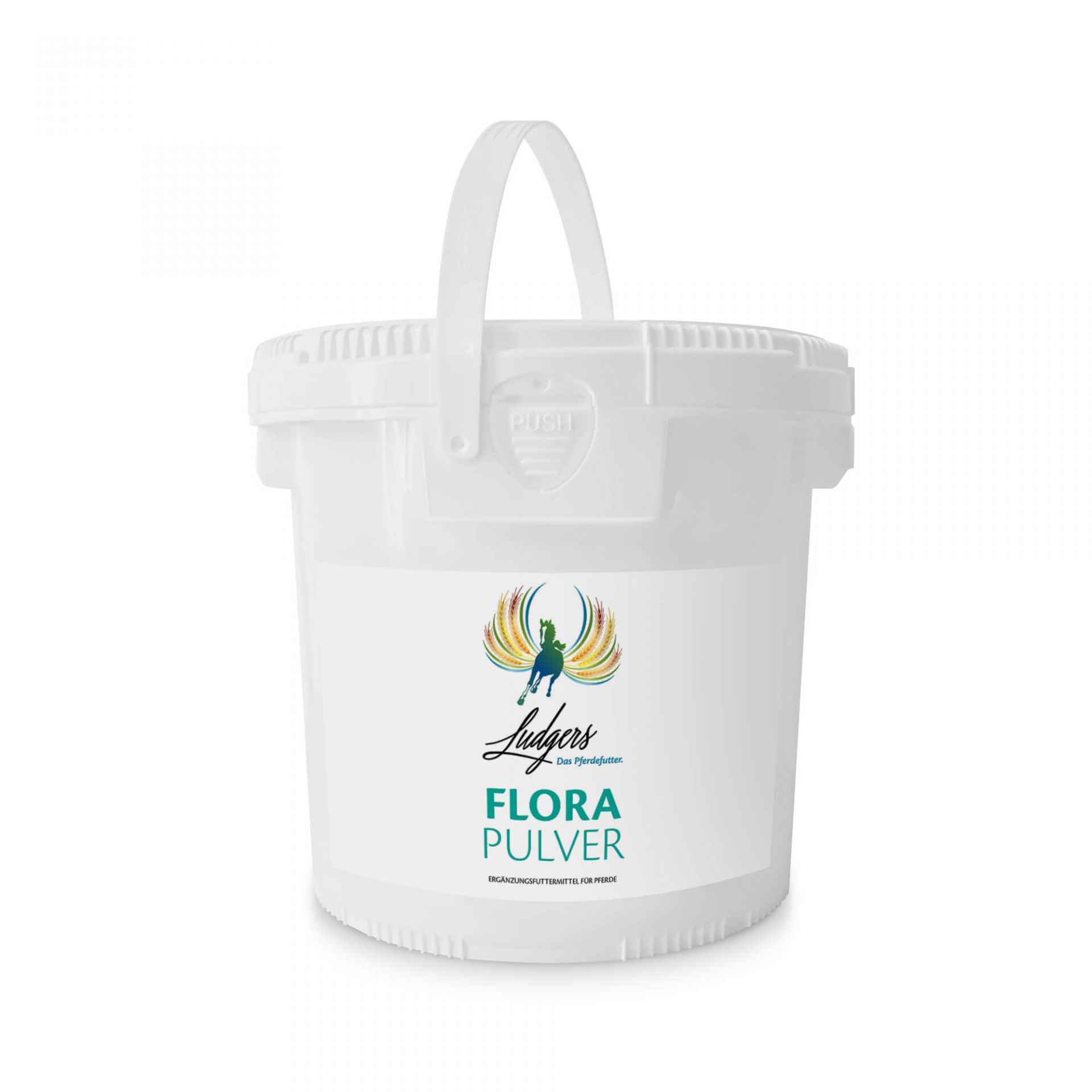 LUDGERS N FLORA | PULVER 
