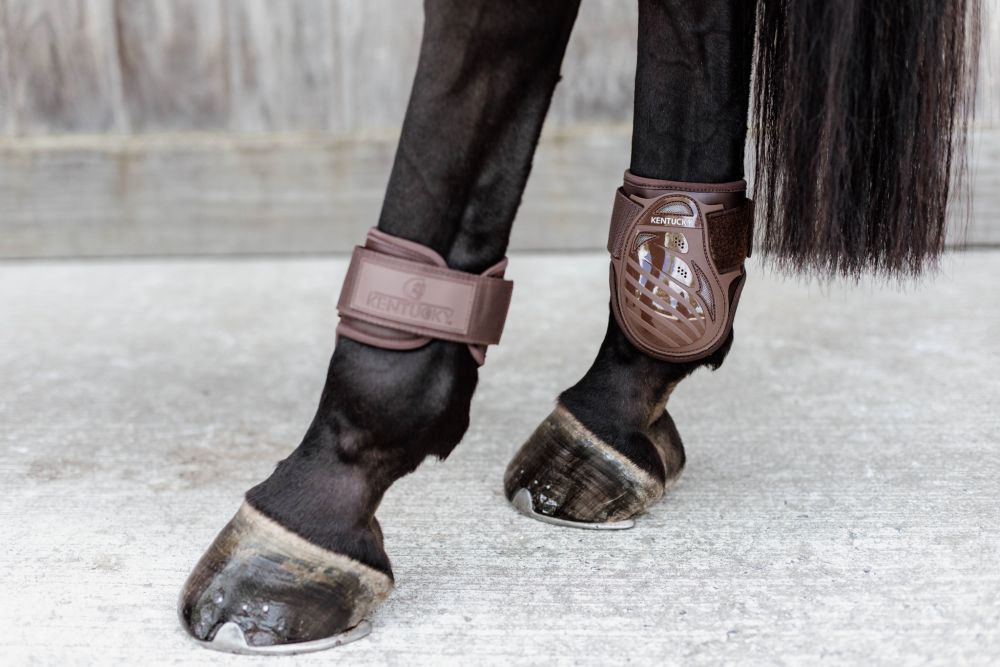 KENTUCKY® HORSEWEAR Streichkappe Young Horse, braun