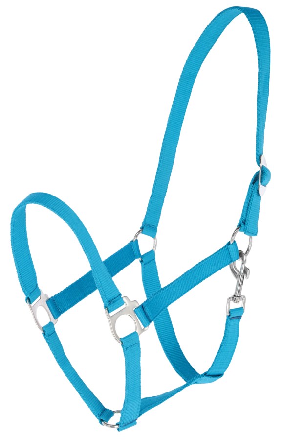 KERBL Nylonhalfter Hippo, blau