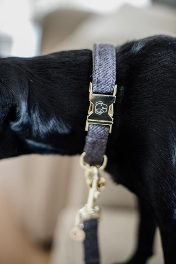 KENTUCKY® DOGWEAR Hundehalsband aus Wolle, grau
