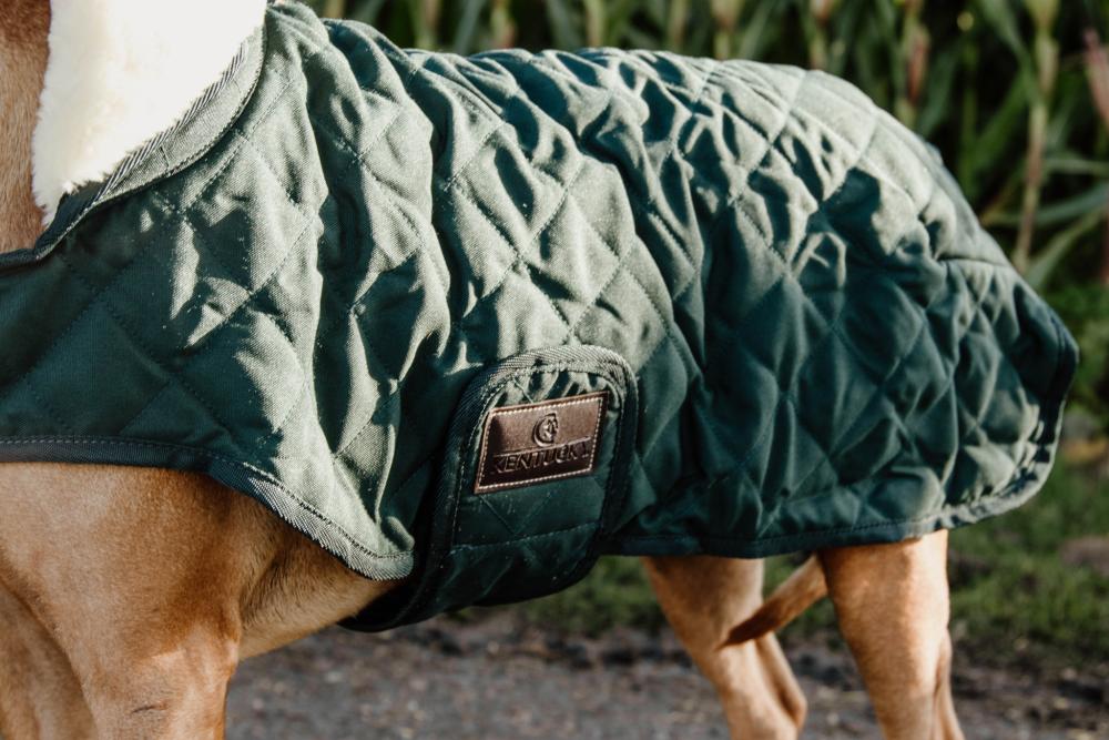 KENTUCKY® DOGWEAR Hundemantel Original 160 g, dunkelgrün