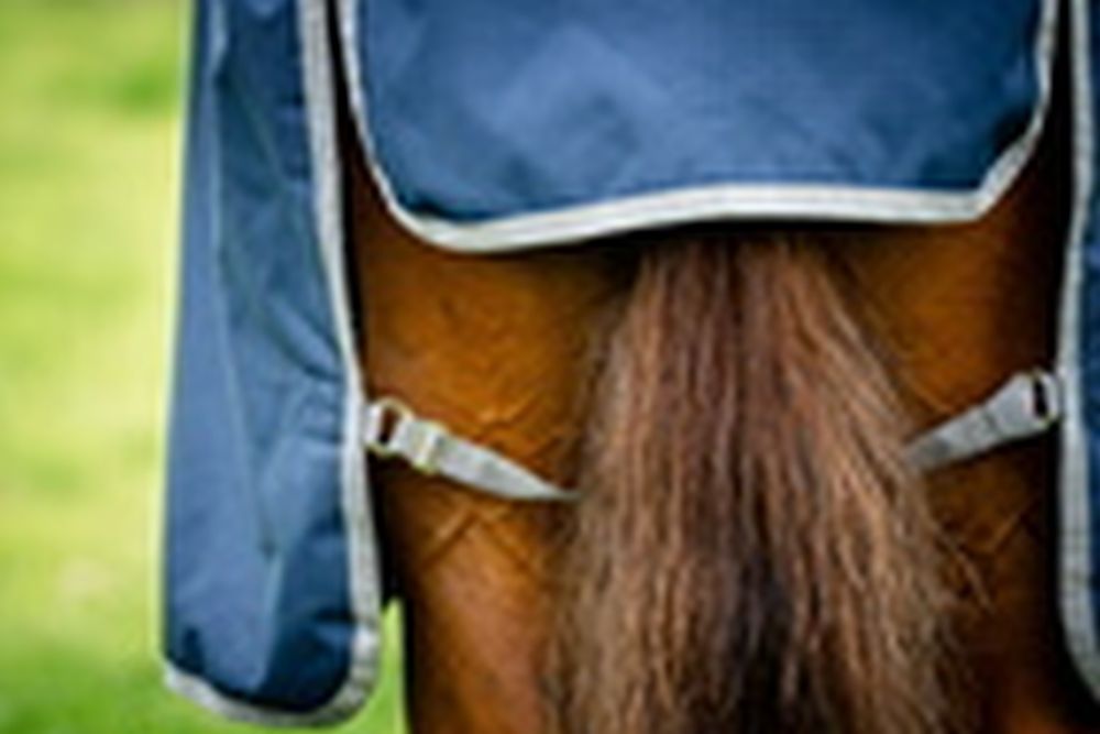 HORSEWARE® Amigo® Ripstop 900, 50 g, navy/titanium