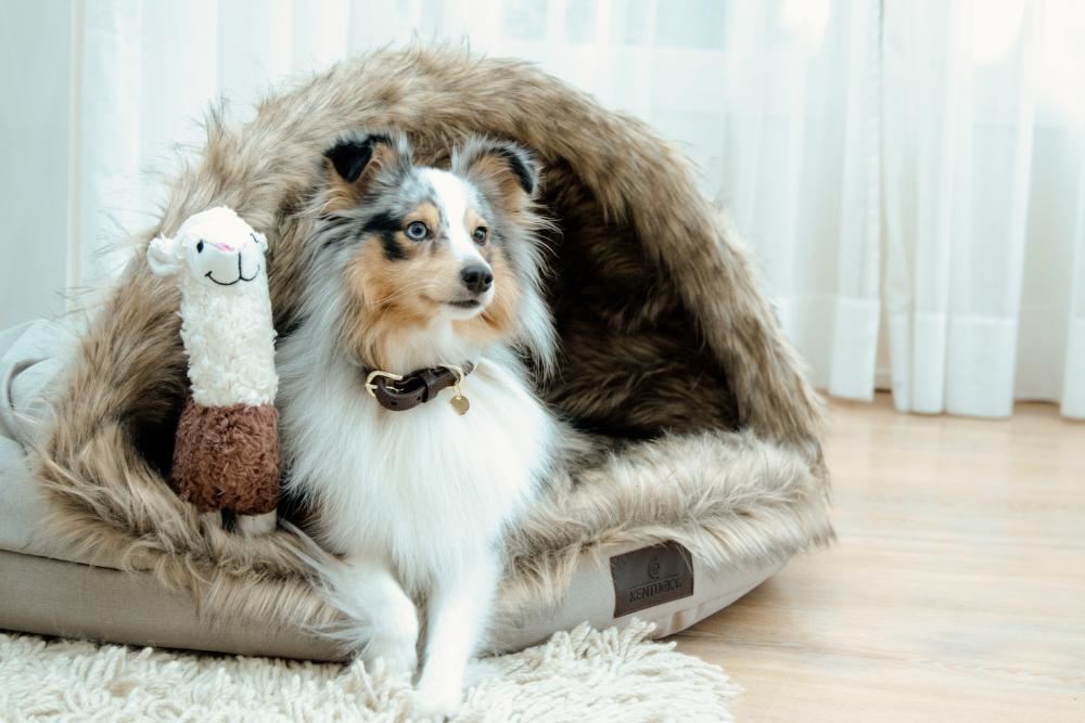 KENTUCKY® DOGWEAR Hundebett Iglu, braun