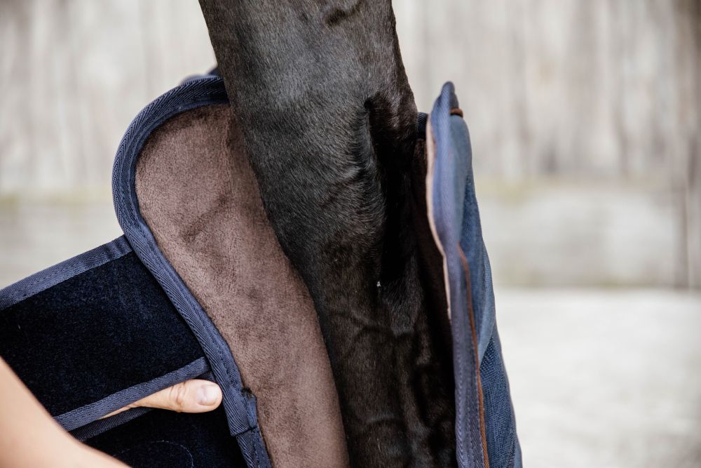 KENTUCKY® HORSEWEAR Transportgamaschen