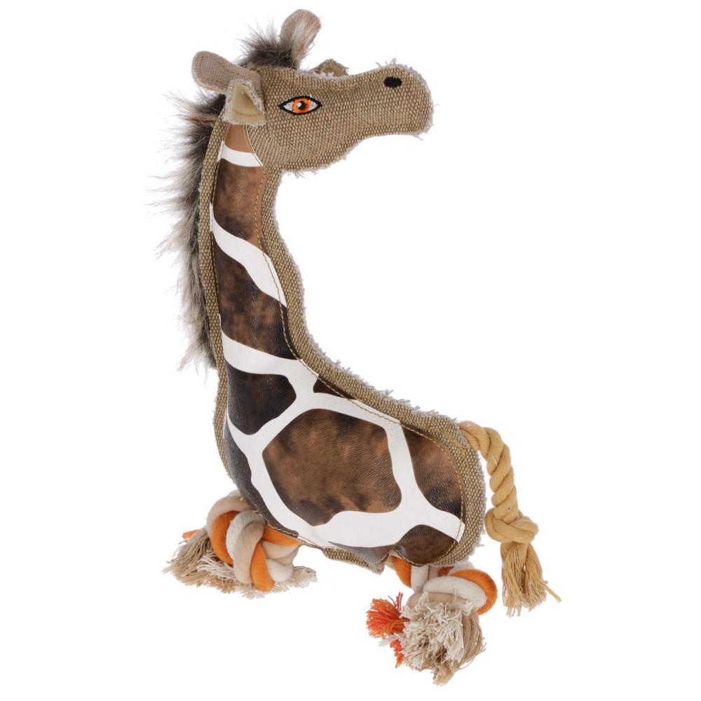 Giraffe Gina