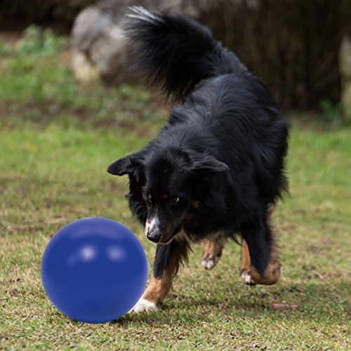 PROCYON Treibball
