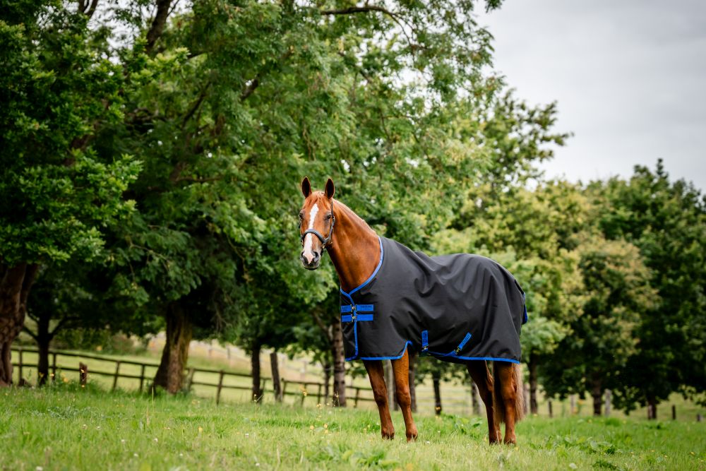 HORSEWARE® Amigo® Ripstop 900 Fleece Lined, 50 g, black/classic blue 