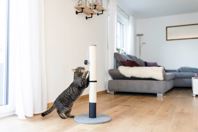 KERBL Kratzsäule Opal Pro grau/schwarz 40x40x80cm