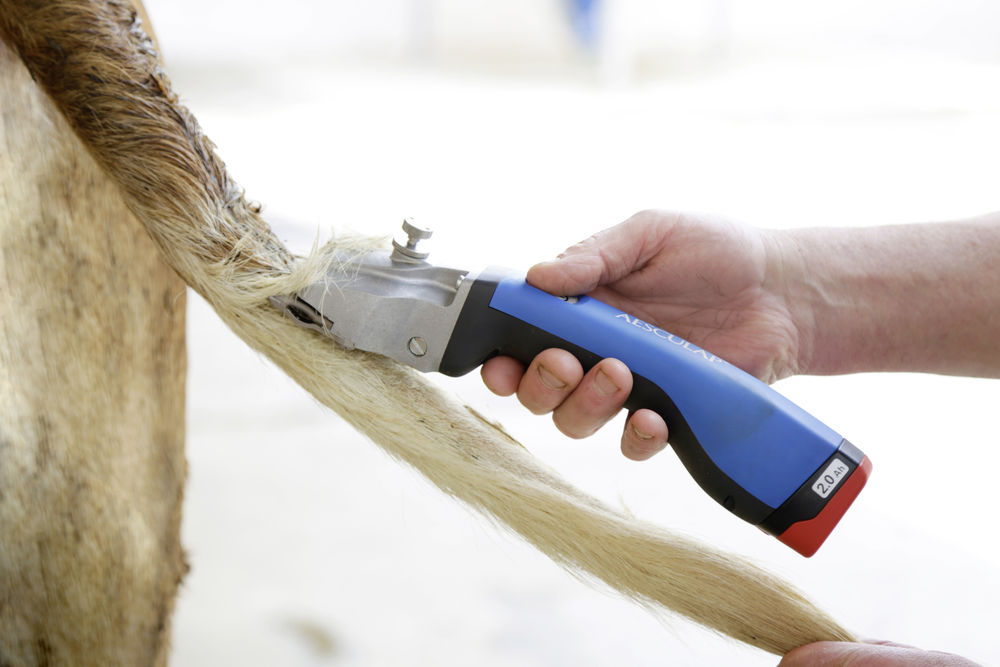 AESCULAP Bonum Akkuschermaschine für Rinder mit Messer-Set GT502, GT501