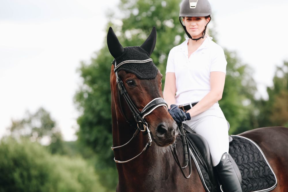 KENTUCKY® HORSEWEAR Fliegenhaube Wellington Sparkling, schwarz