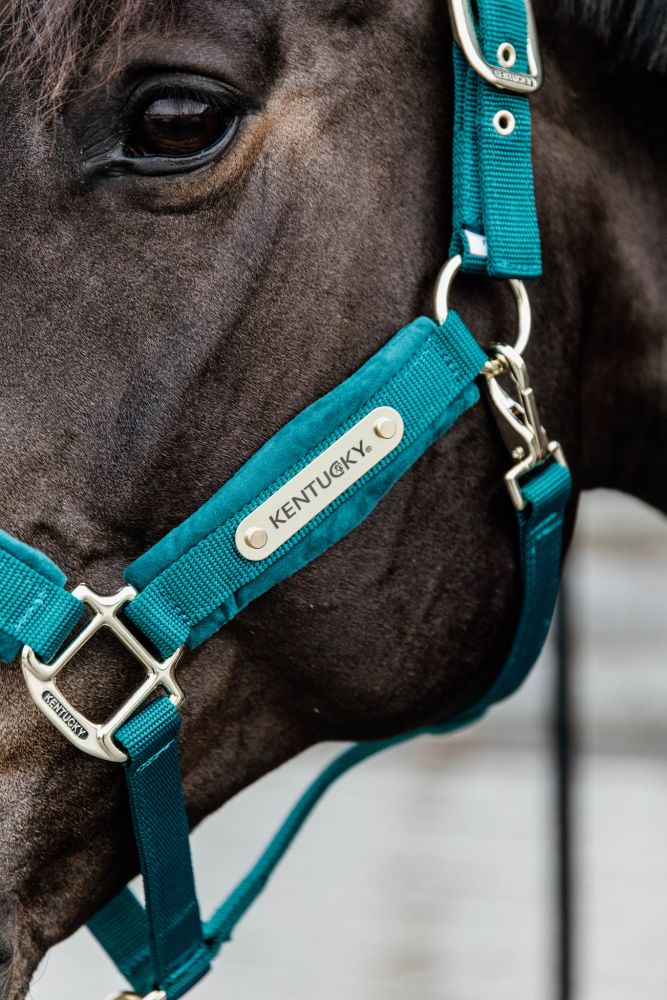 KENTUCKY® HORSEWEAR Velvet Halfter, smaragdgrün