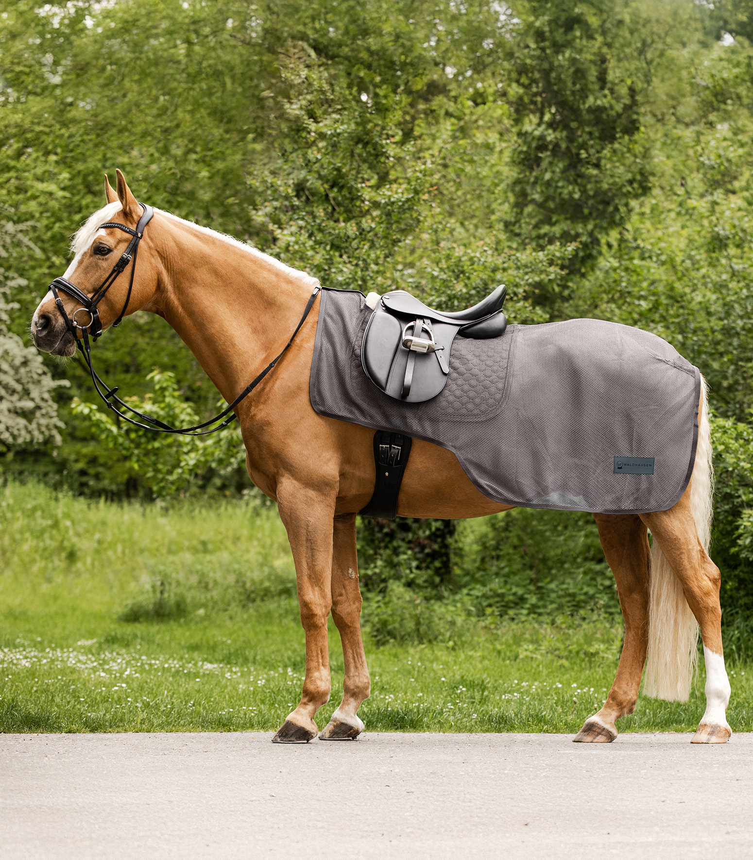 WALDHAUSEN COMFORT Fliegen-Ausreitdecke, grau