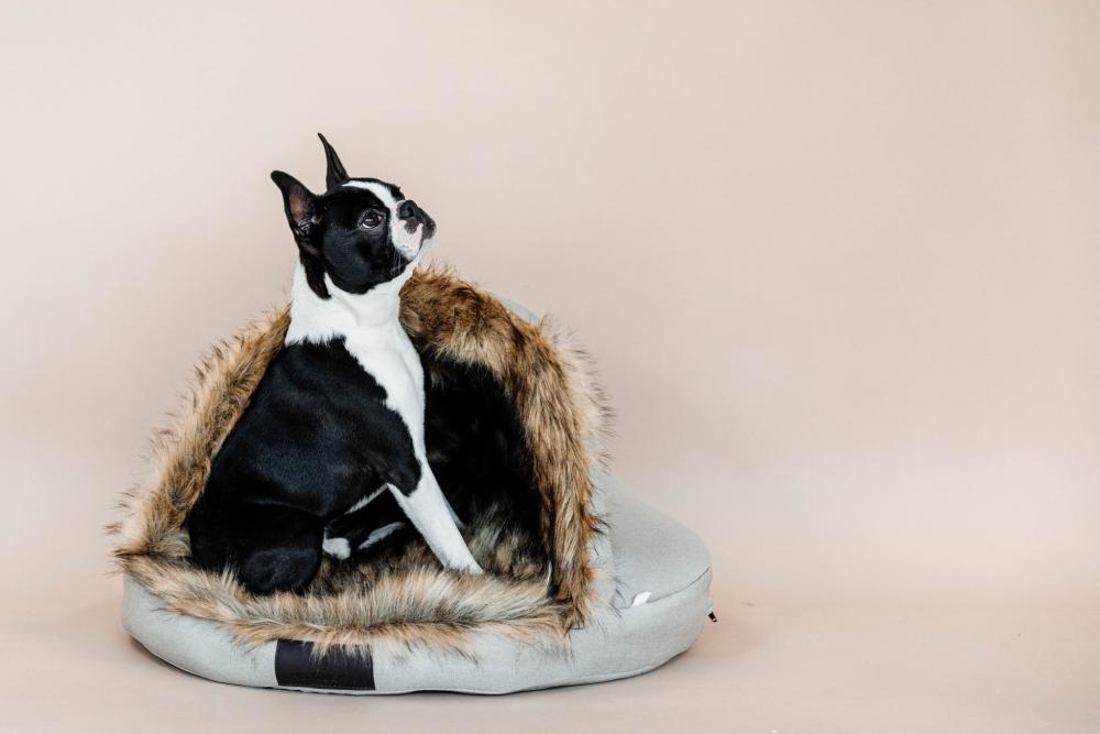 KENTUCKY® DOGWEAR Hundebett Iglu, braun