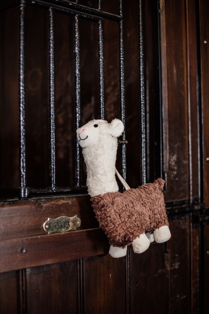 KENTUCKY® HORSEWEAR Relax Horse Toy Alpaka