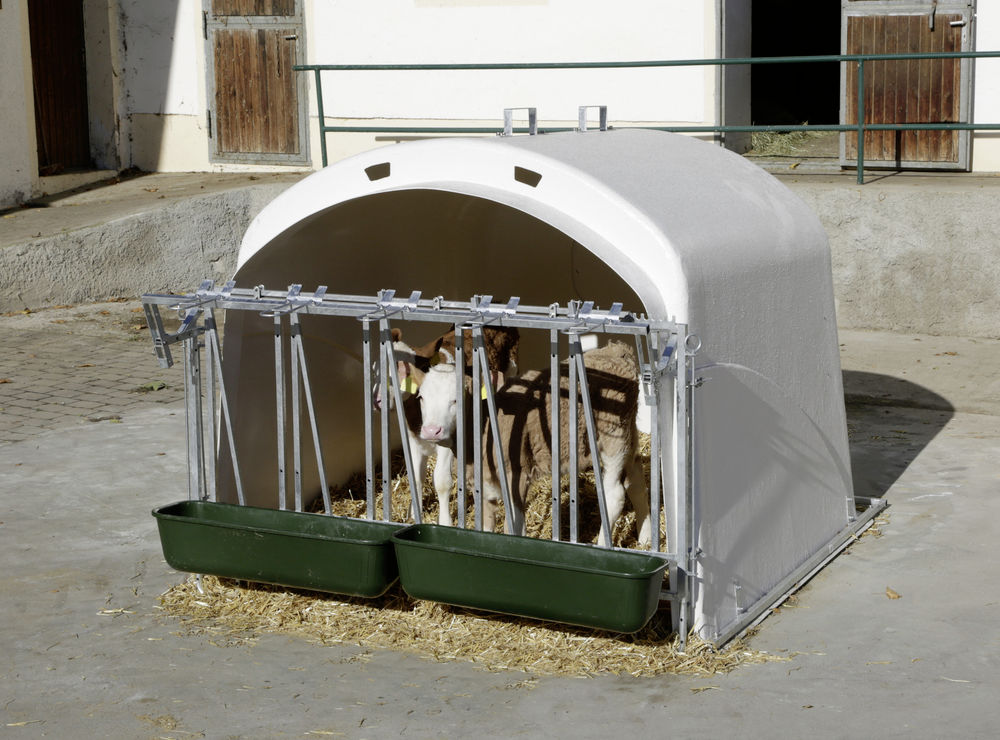 Kälberiglu Premium XL