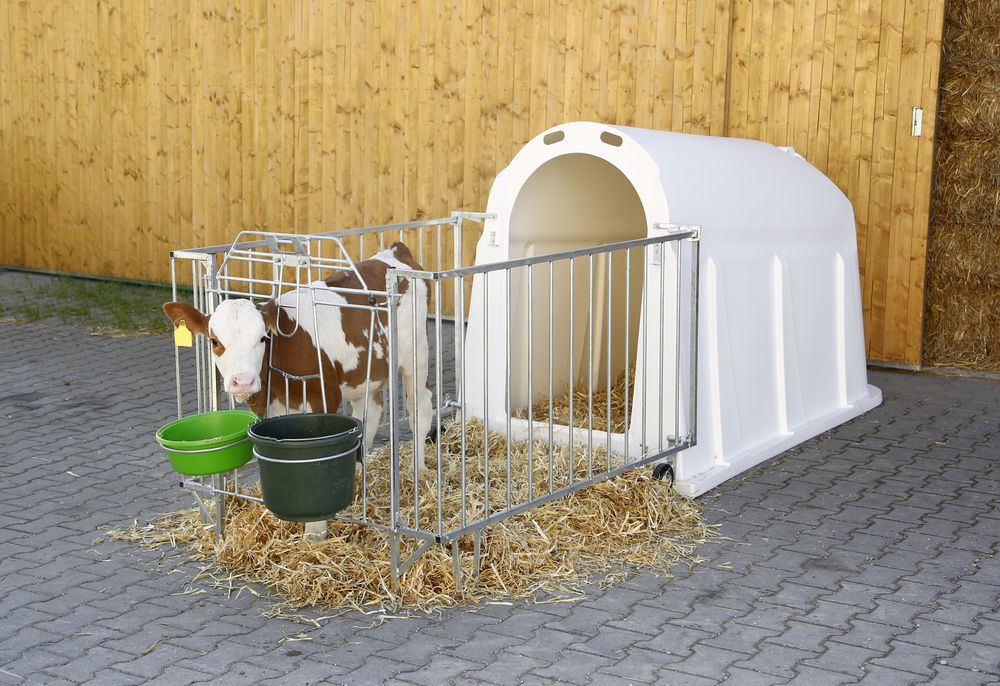 KERBL Kälberiglu CalfHouse PE UV+