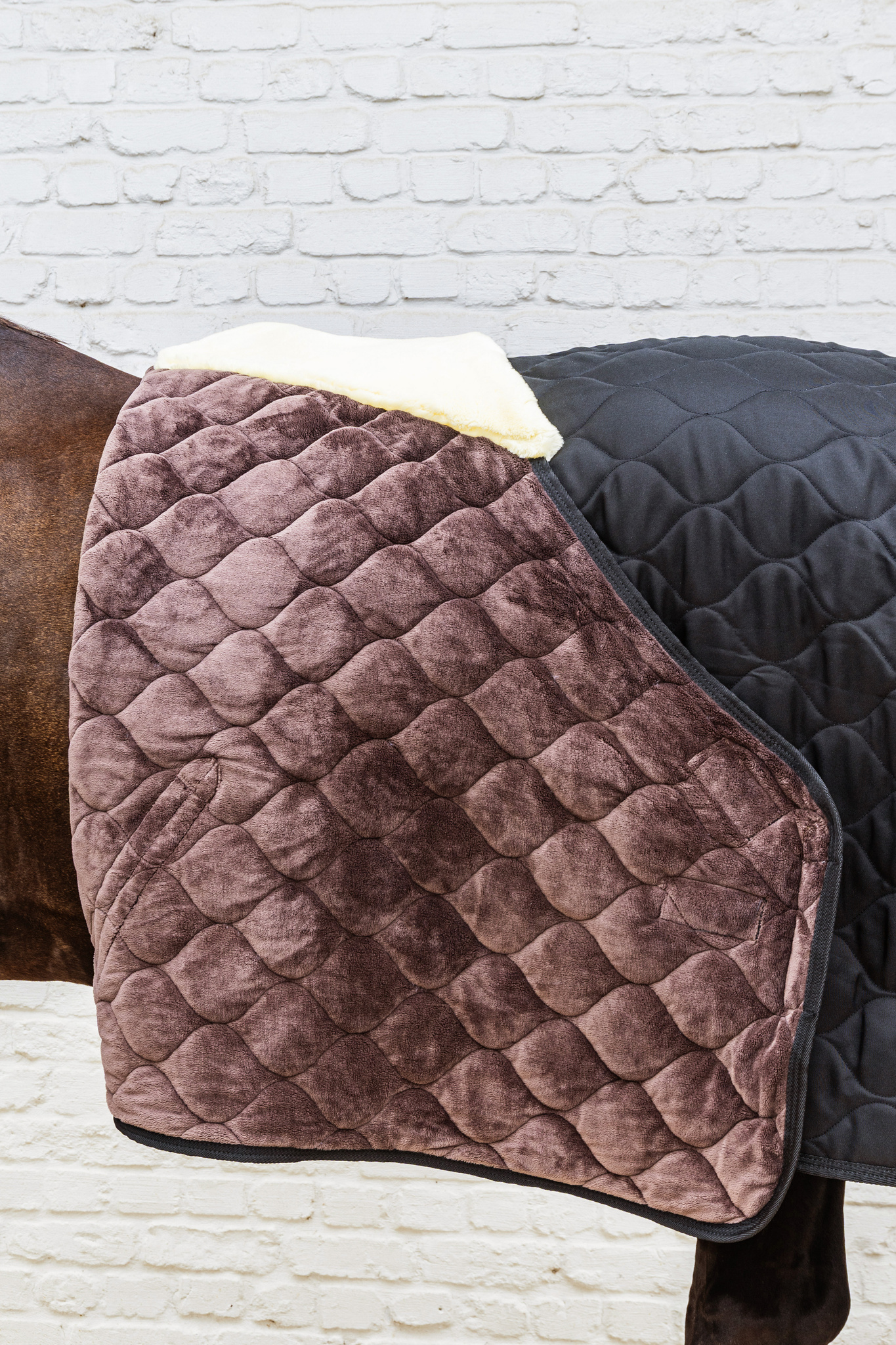 KENTUCKY® HORSEWEAR Stalldecke Comfort 100 g, schwarz Schwarze Stalldecke Comfort mit gestepptem, braunem Samt-Umschlag und weicher Kunstfell-Polsterung am Widerrist.