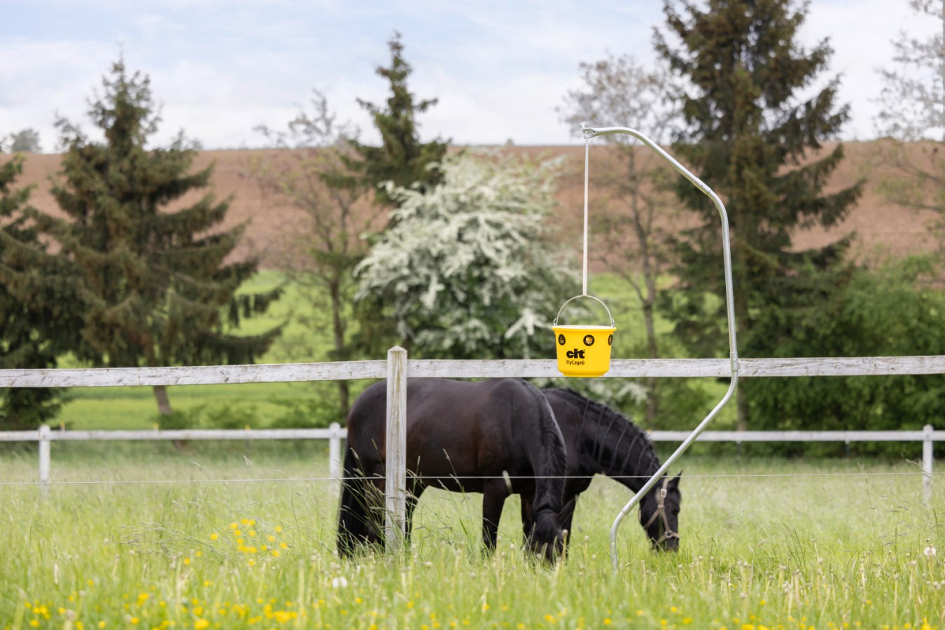 KERBL cit Fliegenfalle FlyCage6