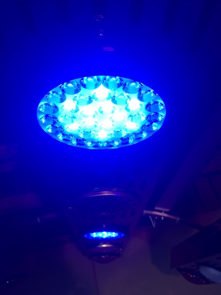 Blaues LED Therapie-Farblicht für das SUMMERWIND Pferdesolarium, rundes Modul in der Nahaufnahme von unten.