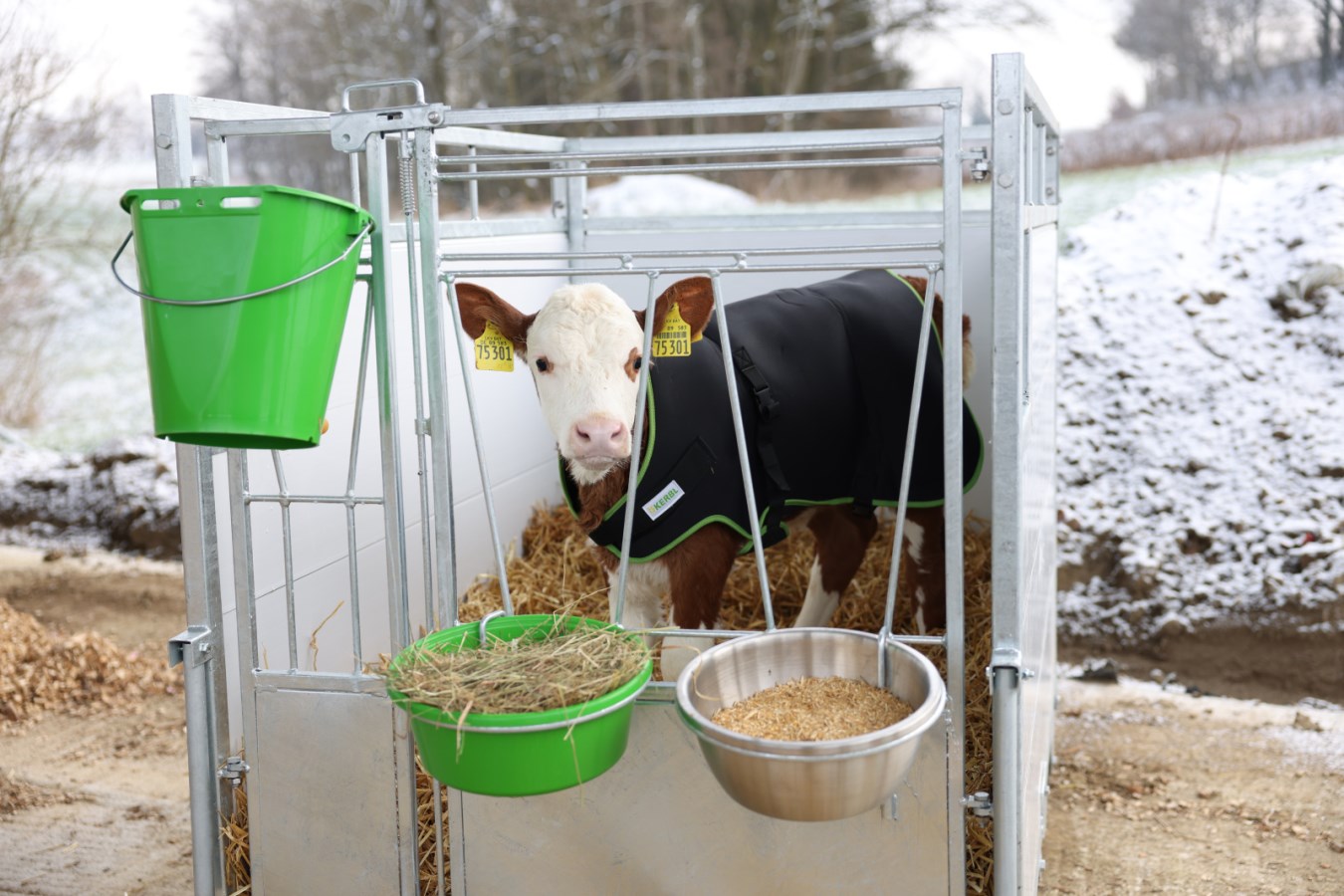Kerbl Kälberdecke Premium in Schwarz an einem Kalb in einer Kälberbox im Freien bei Schnee.